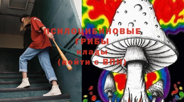 прущая мука Армянск