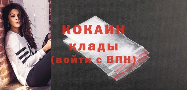 соль ск Арсеньев
