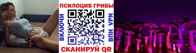 где продают наркотики  Ряжск  Галлюциногенные грибы ЛСД 